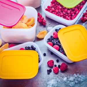 Fagyasztó Társ Magas 2,5L