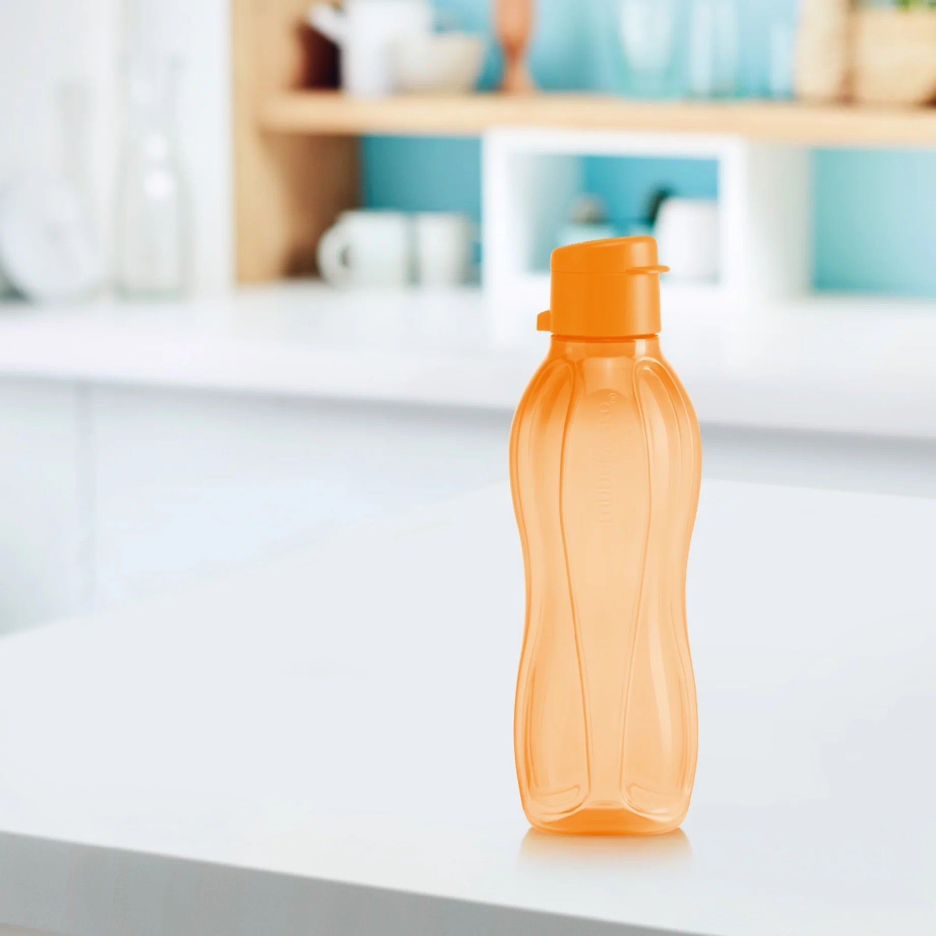 Öko Palack 500ml (sport kupakkal)