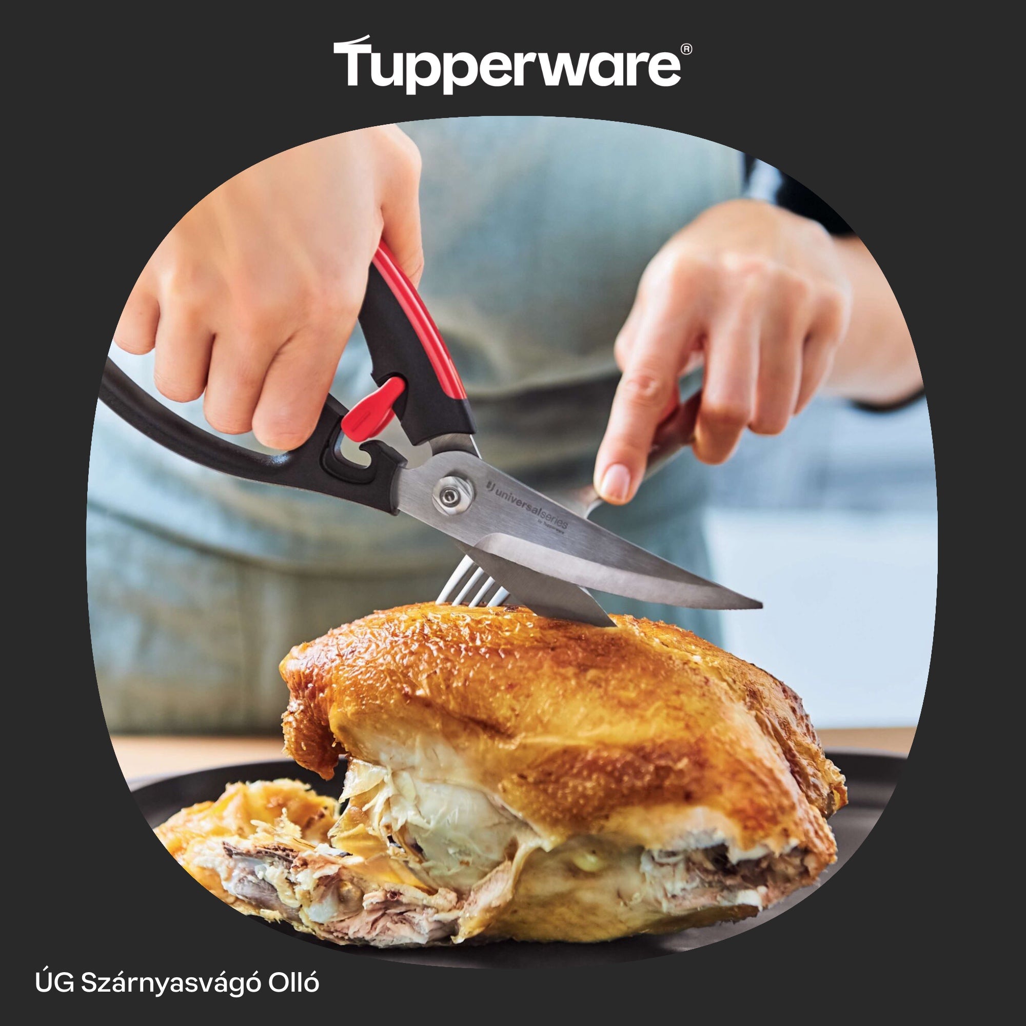 ÚG Szárnyasvágó Olló