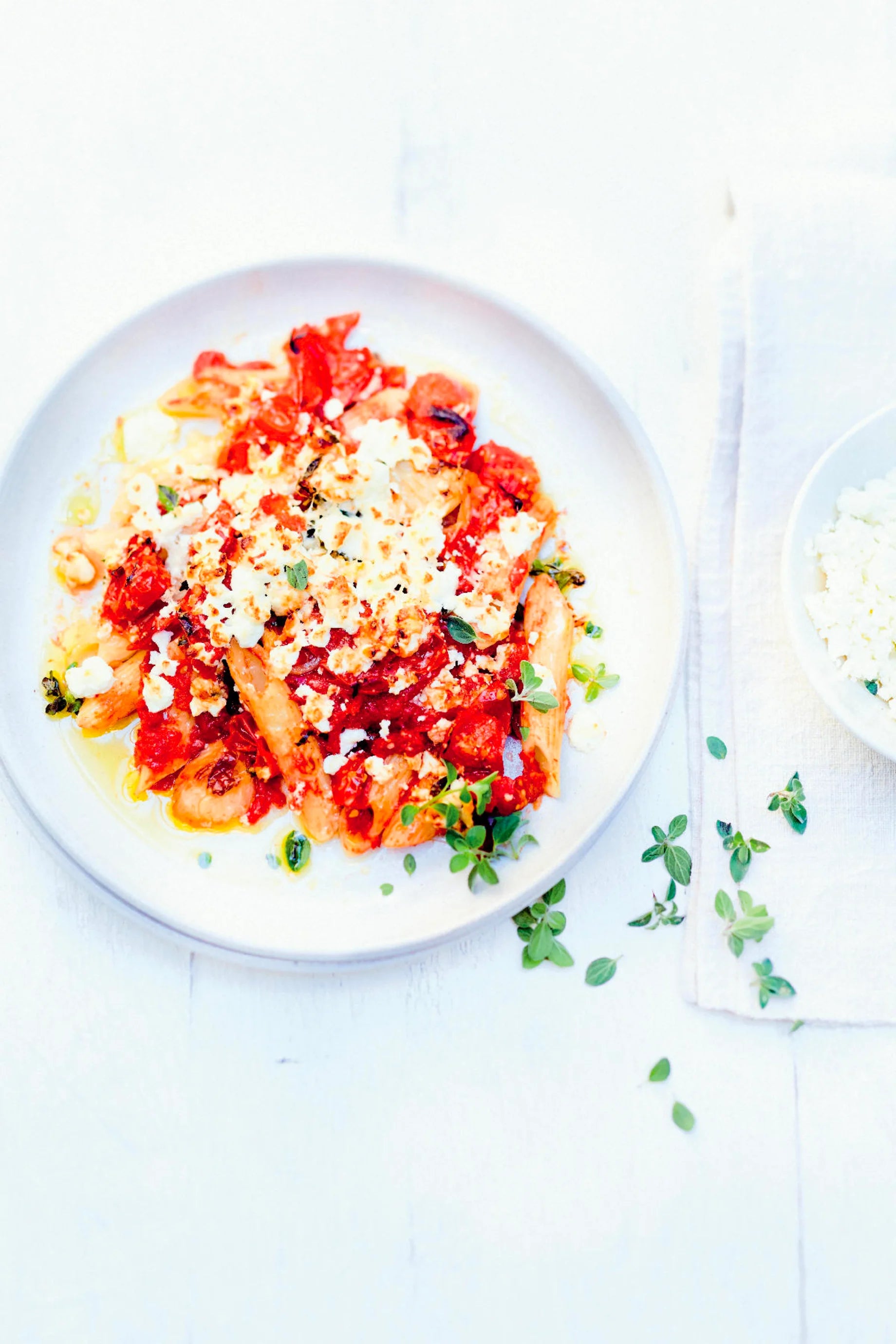 UltraPro Lasagne Alj 3,3L