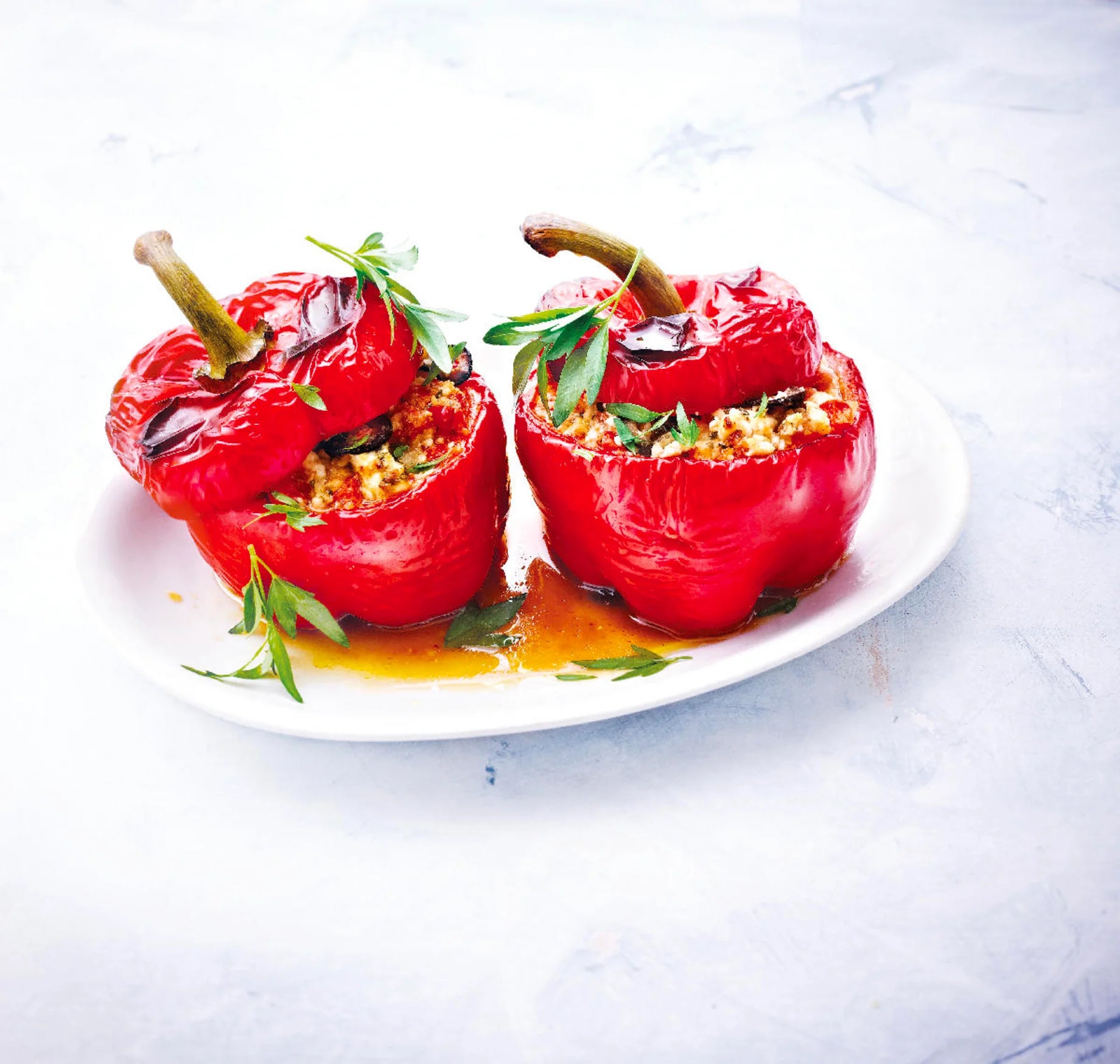 UltraPro Lasagne Tető 1,2L